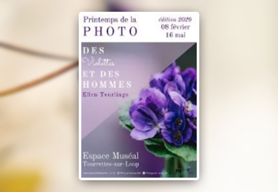Album photo violette Ellen Teurlings