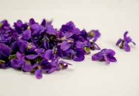 Illustration violette