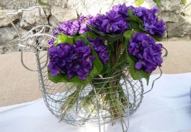 Illustration violette