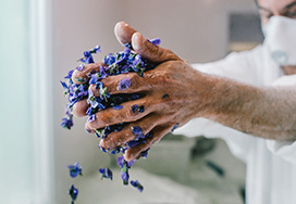 Illustration violette